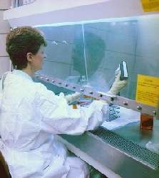 Behavioural and Prevalence Studies.